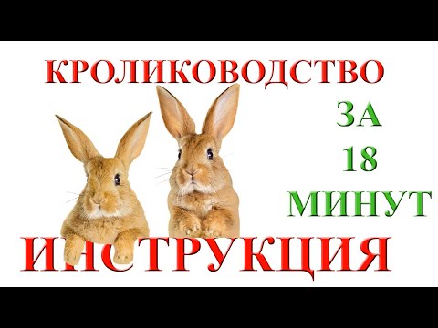 Видео: Полное руководство по кроликам