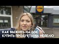 КАК ВЫЖИТЬ НА 60€ В НИДЕРЛАНДАХ?/КУПИТЬ ПРОДУКТЫ НА НЕДЕЛЮ/ УДИВИТЕСЬ ЧТО ПОЛУЧИЛОСЬ