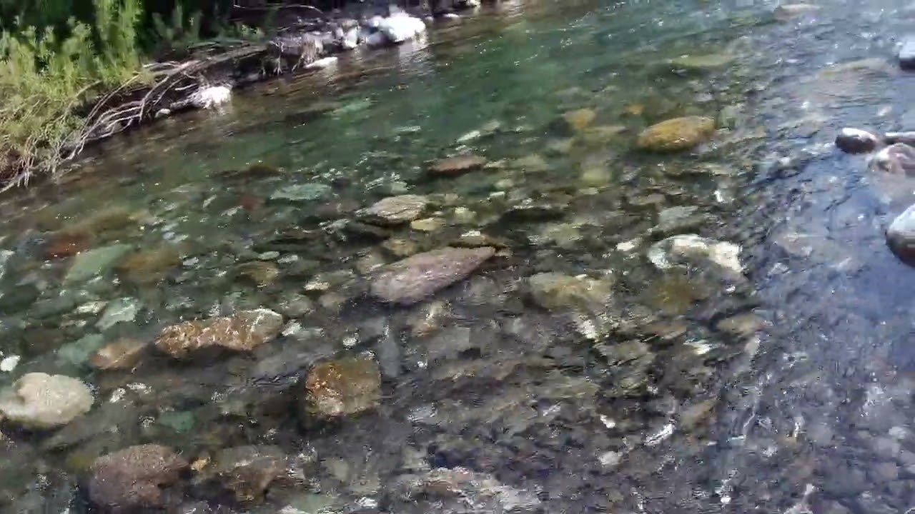 Giugno 2025 tre giorni di pesca nella riserva di Gorreto