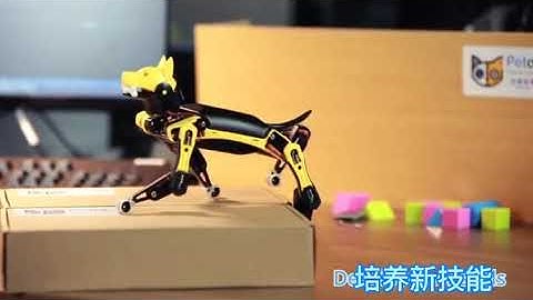 02 Petoi Bittle Robot