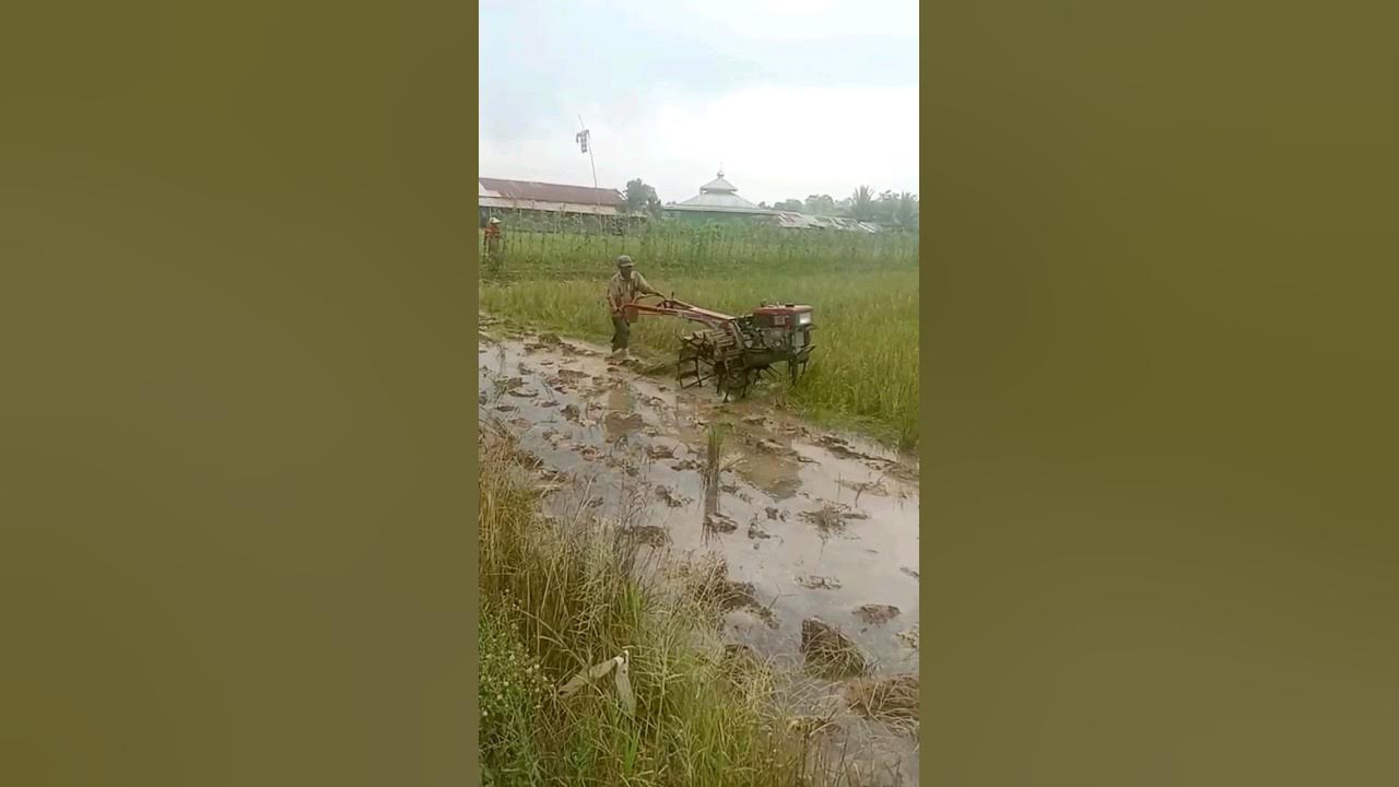 traktor sawah yanmar kuat dan handal YouTube