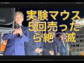 参政党街頭演説 売ったその日がピーク #参政党 #吉野敏明 #松田学 #井上正康