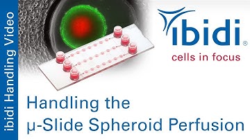Handling the µ-Slide Spheroid Perfusion