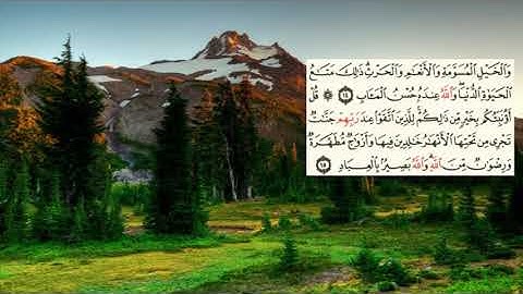 صفحة-51- page سعد الغامدي - -سورة ال عمران -Al-Imran