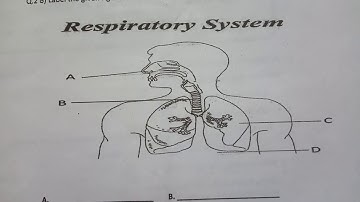 5th std II-UNIT TEST EVS-I MODEL QUESTION PAPER PATTERN UPLOADED 🤩👍💯😃#Empoweringeducation