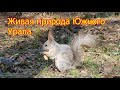 Челябинск  весна Южный Урал живая природа  01 05 2022г