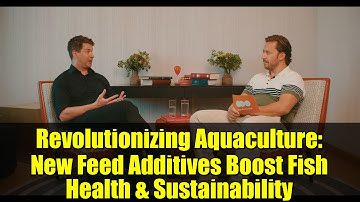 Revolutionizing Aquaculture: New Feed Additives Boost Fish Health & Sustainability