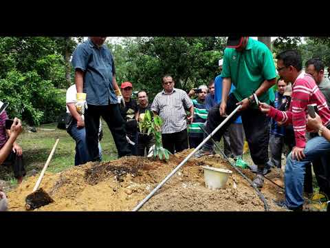 Manis Pahit Durian Ucok Medan Youtube