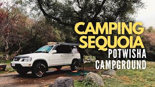 Camping with Wifey and Friends at Potwisha Campground | Sequoia NP
