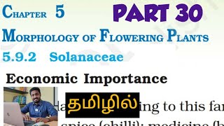 cbse 11th biology | morphology (part 30) | economic importance of solanaceae | durai | alwarkurichi