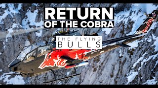 Return of the Red Bull Cobra