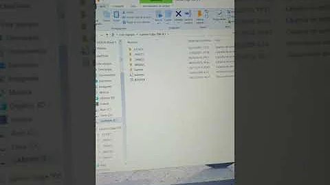 Come collegare Garmin a PC?