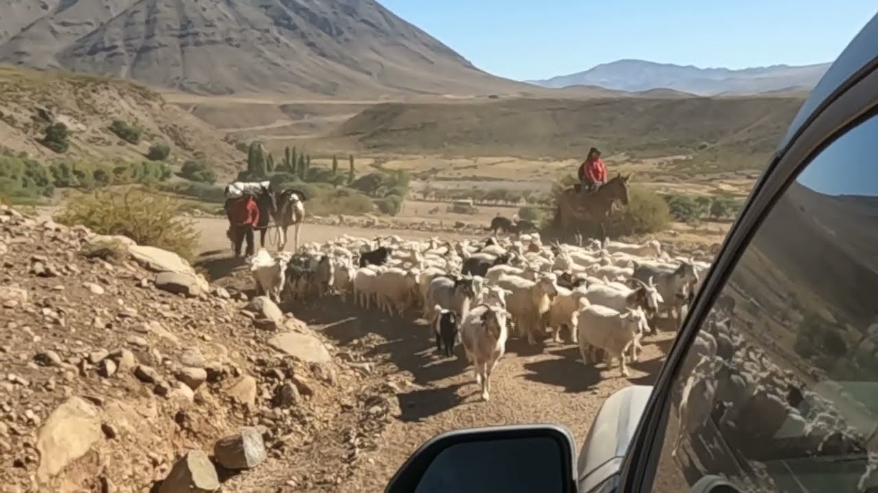 Norte Neuquino - Parte II - Rutas 43 y 54 (Marzo 2023) - Neuquén - Argentina
