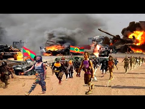 ODUU Hatattama ONK 5 2025 Injifannoo WBO MilkeysaMedia