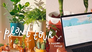 Beginner Houseplant Tips | How I use notion to take care of my plants (free template) screenshot 1