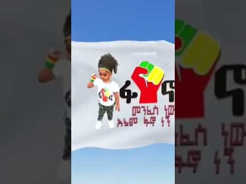 እኔም ፋኖ ነኝ ወኔ ቀስቃሽ ዘፈን