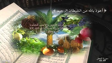 آيات عطرة من سورة النحل ( مشاري راشد)