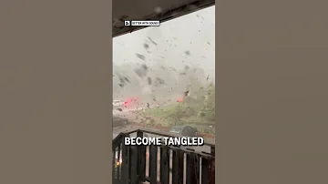 What It S Like Inside A Tornado Viralhog 