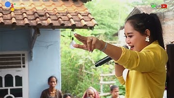 DAUN HIRIS  II  VOC  NUNG UL QISMA  II  RONADA GROUP 05092022