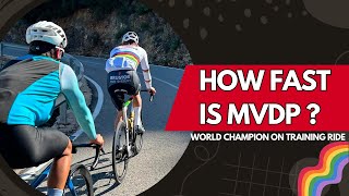 🌈 This is HOW the WORLD CHAMPION trains | On the wheel of Mathieu van der Poel