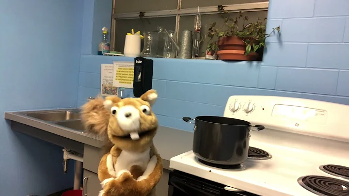 Carrie Fowler Puppetry Reel