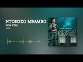 Ntokozo Mbambo - God Still [Visualizer]