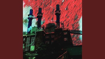 attachment theory / the forest