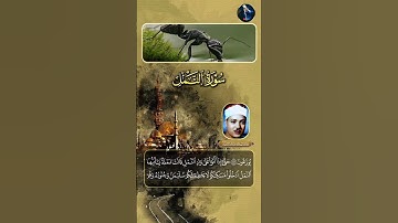 تلاوة خاشعة للشيخ عبدالباسط عبدالصمد لما تيسر من سورة مريم #القران_الكريم #شجعوني #اكسبلور #تعليق