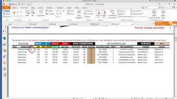 Biz Speed Rating Overview and How To 8 23 2018
