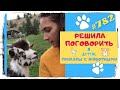 Самые Смешные Животные 2022 :) Лучшая Подборка за Неделю 👍 Fun with Animals 😸