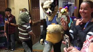 ACFI Fursuit Parade 2019