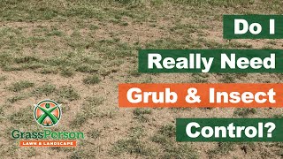 Do I Really Need Grub & Insect Control in North Texas?