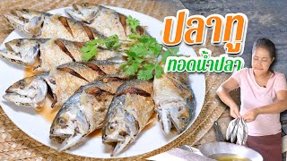 EP. 169 ปลาทูทอดน้ำปลา สูตรน้ำปลาปรุงรสร้านอาหาร | กับข้าวกับตา