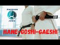 Hane goshi gaeshi  judo  hanegoshigaeshi