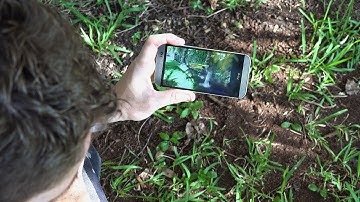 Training Drills on Correct Body Position For Scuba Divers