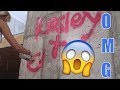 YOU RUINED THEIR NEW HOUSE WITH GRAFFITI | THE LEROYS