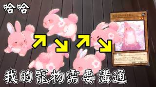 [ 遊戲王 ] 童↗話↘動↗物↘ 我的寵物需要溝通 Melffy
