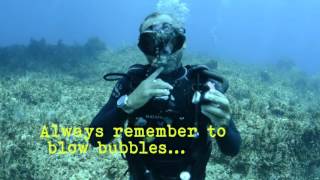 SCUBA Diving Skills-Oral Inflation