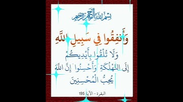 سورة البقرة الآية ( 195 )