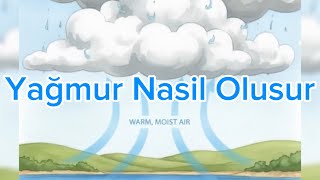 Yağmur Nasıl Oluşur? Hareketli Çocuk Masalı Eğitici Ve Eğlenceli Hikaye Doğa Masalları