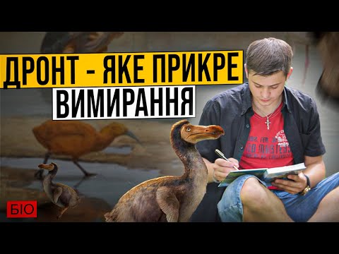 Дронт маврикійський або додо - птах, який був з'їдений колоністами. Що про нього відомо? @bio_UA