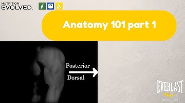 Anatomy 101 - 1 Orientation
