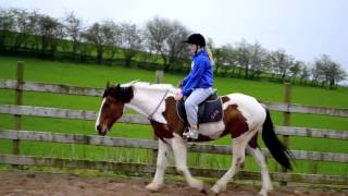 Murphy & Callie Tackless training progress in 3 months