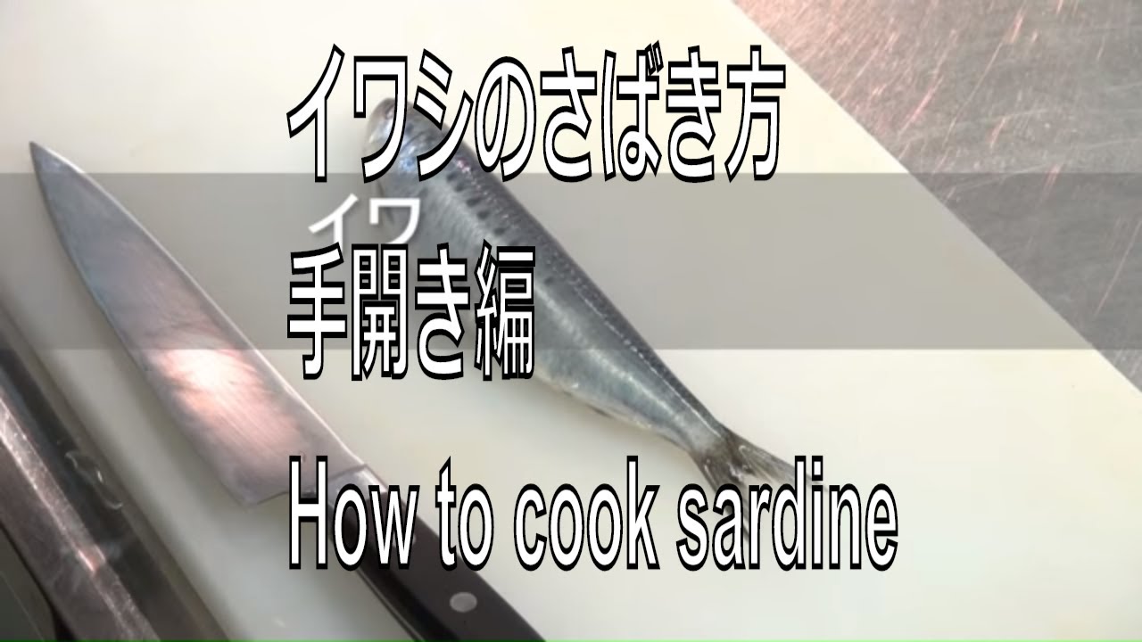 イワシのさばき方手開き編 How To Cook Sardine Sashimi Japanese Food Youtube