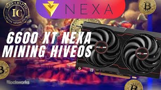 6600 Xt Nexa Mining Hiveos