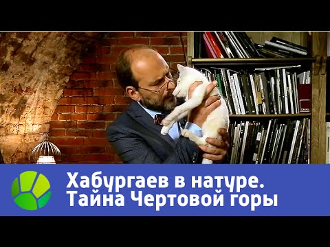 Тайна Чертовой горы. Хабургаев в натуре | Живая Планета