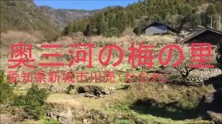 奥三河、梅の里【出産内祝い 結婚内祝い お米のギフト 通販 間瀬木商店】