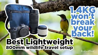Canon R8 Best Lightweight Wildlife Travel RF 100400mm RF 2X Extender