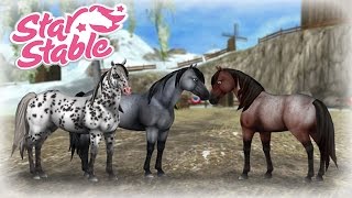 NYA MUSTANGER!! HUR VILL DU HA DEN!!? - STAR STABLE ONLINE - DEL 497