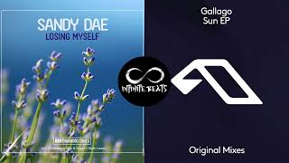 Sandy Dae - Losing Myself vs. Gallago - A Glass Half Full (Infinite Beats Mashup)